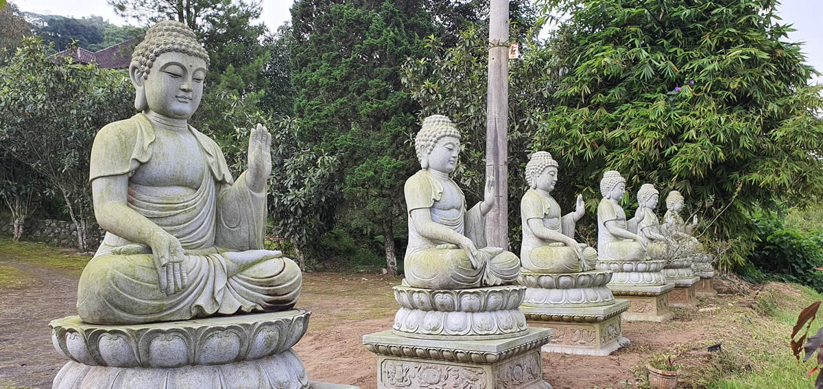 Bali International Portal