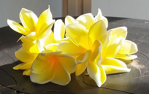 Bali International Flowers